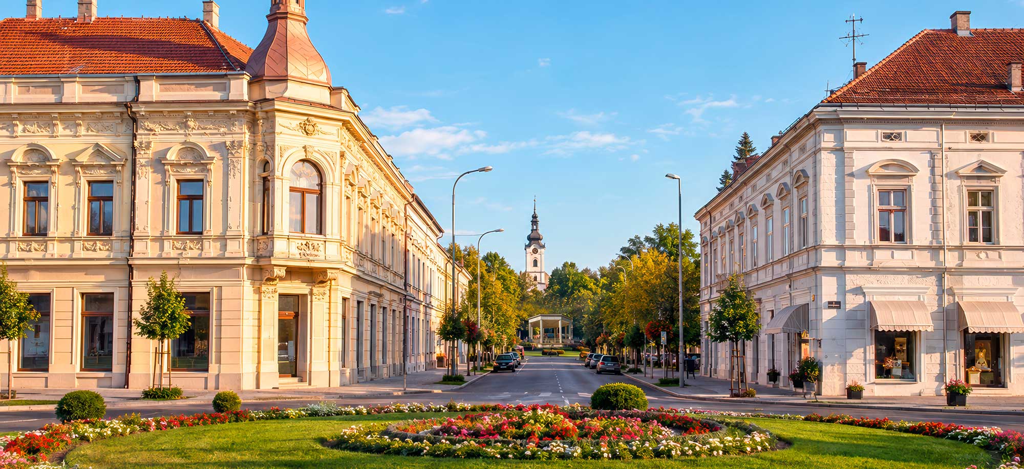 Hrvatska akademija znanosti i umjetnosti